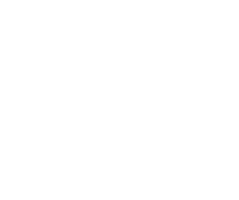 ALM Nissan Newnan